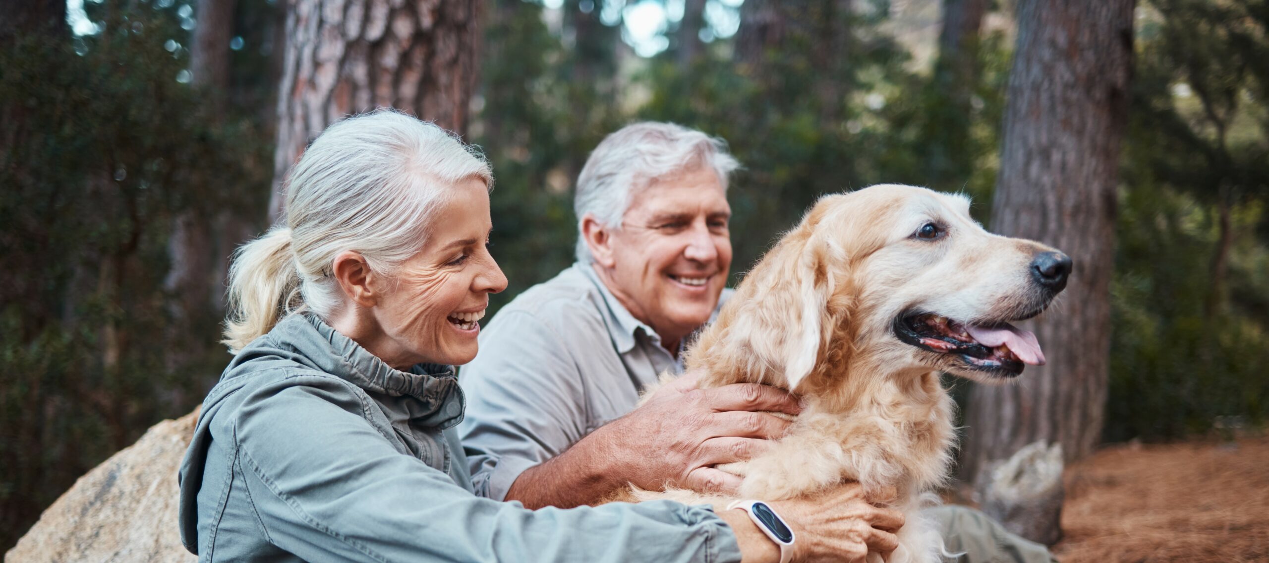 Senior couple, hiking and dog outdoor in nature for exercise, fitness ...